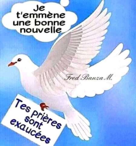 Bonbon OM cherche une femme sérieuse et honnête