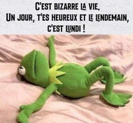 Uniquement cuni