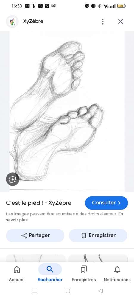 Pieds à disposition