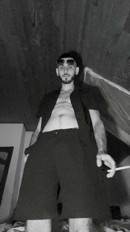 Bel étalon musclé