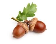 Papy Gros Gland pour Fille Majeure et Mere